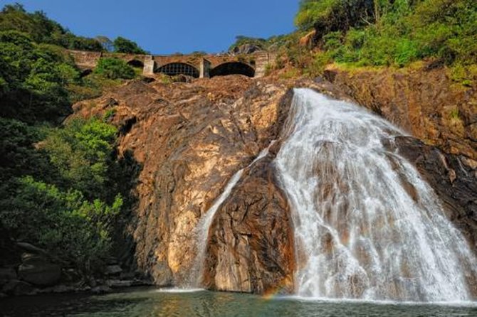 Day Trip To Mollem National Park Including Dudhsagar Falls And Jeep Safari
